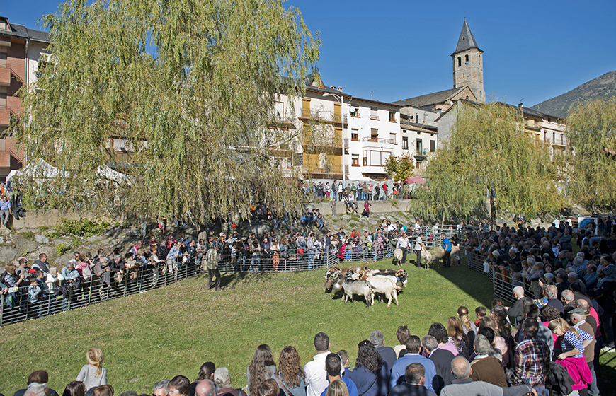 turisme catalunya revista esdeveniments rutes racons catalunya que fer catalunya agenda turistica proposta