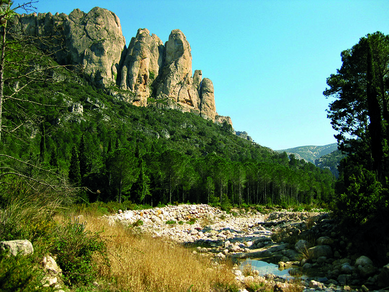 Parc Natural dels Ports