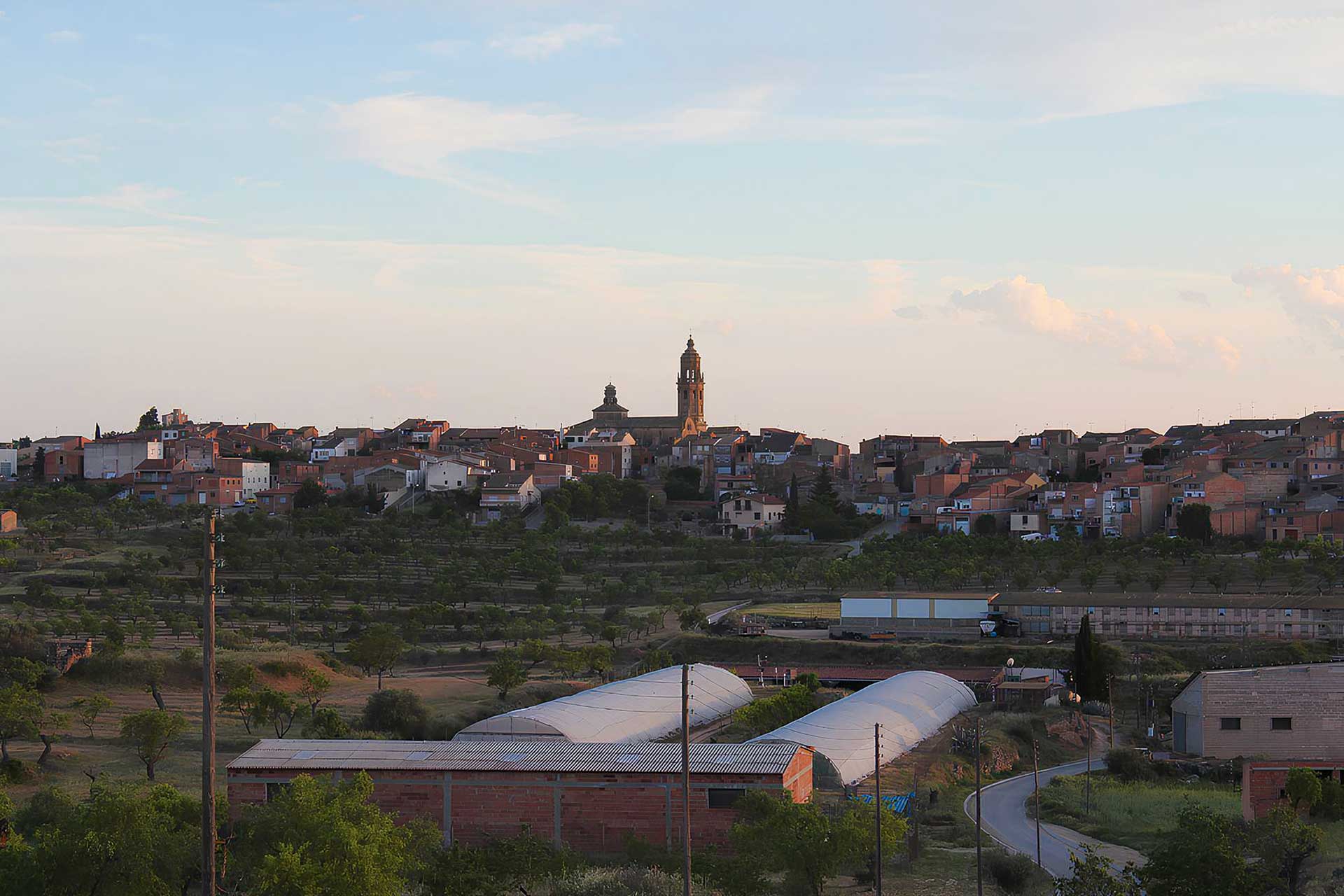 Vista amb l'horitzó de fons de Granadella