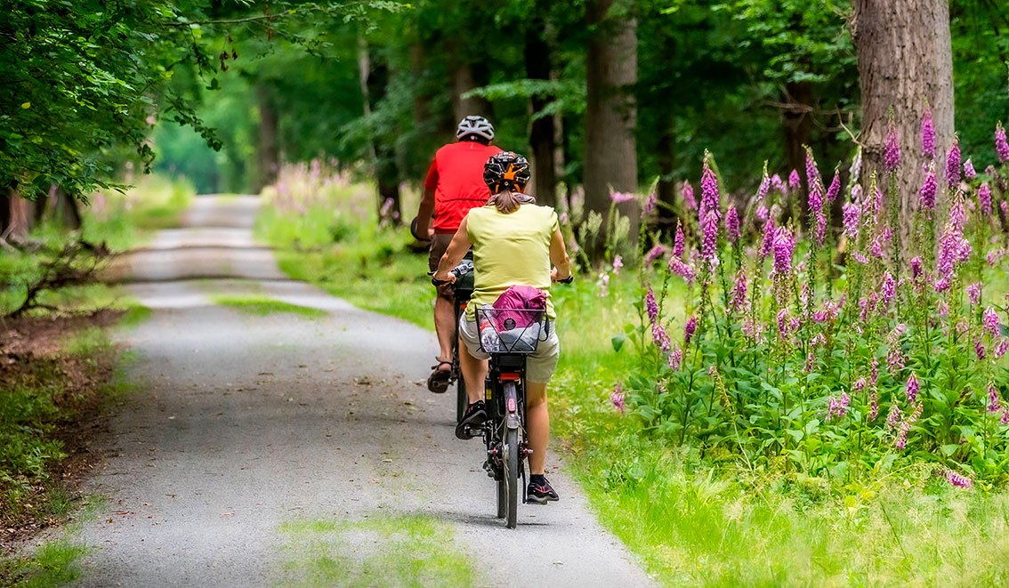 Ciclistes_Qui-som_PEXELS