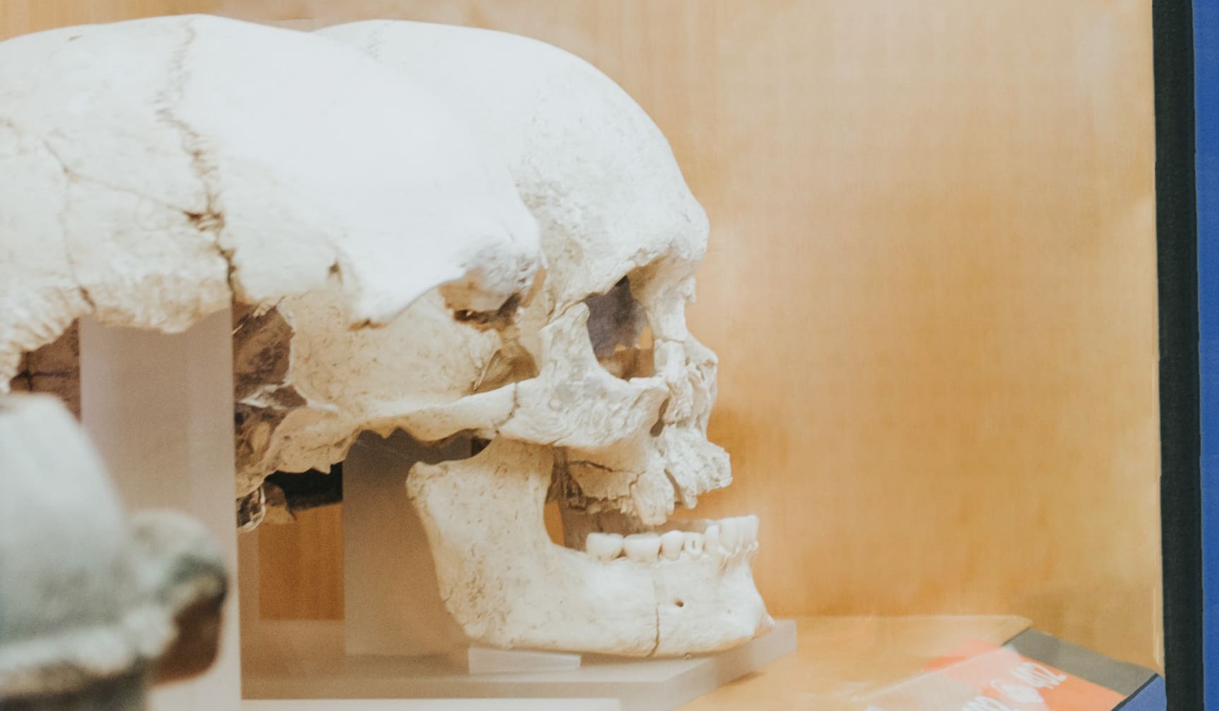 MuseuUllestret_NadalalMuseuSilviaPoch_Qui som_